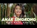 Download Lagu ANAK SINGKONG ~ Lagu Joget Viral Terbaru🔥 RIKI MEZA REMIX💃