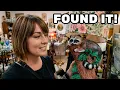 What Can We Find