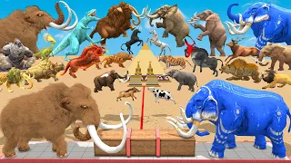 Prehistoric Mammals Vs Wild Animals Size Tug of War Who Will Win? Animal Revolt Battle Simulator