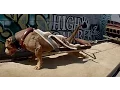 The World s Strongest Pit Bulls use Bully Max