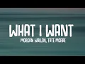 Morgan Wallen, Tate McRae - What I Want (Lyrics)