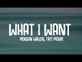 Download Lagu Morgan Wallen, Tate McRae - What I Want (Lyrics)