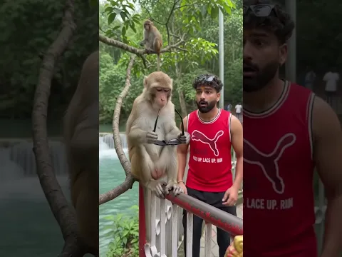comedy video 📸