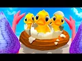 Ik heb mijn NIEUWE EENDJES uitgebroed! (I Am Bird VR)