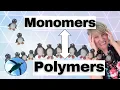 Monomers Polymers Chemistry Basics