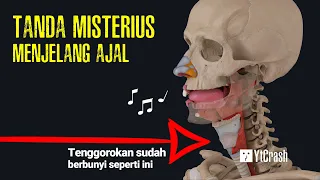 Download PANTESAN BESOKNYA MENINGGAL..!! Ternyata ini Tanda-tanda Menjelang Kematian berdasarkan Islam MP3