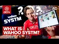 Download Lagu Top 10 Things You Need To Know About Wahoo SYSTM!