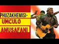 Download Lagu Phuzekhemisi- Isixaxa mbiji,Hashi limhlophe,Abalandeli,ama awards,Amabhenanyawo #trend #maskandi #ep