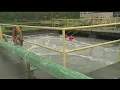 City of Warren suing Trumbull County over unpaid wastewater bills