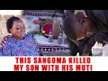 Lagu Ep 593 This Sangoma Killed My Son With His Muti