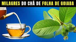 11 Razões Incríveis para Beber Chá de Folha de Goiaba