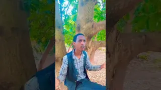 Nashiidaa Haaraya Abdallaa Ibraahim 