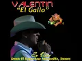 Ebrio de Amor