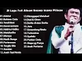 Download Lagu RHOMA IRAMA || Duet Bang Haji Feat Riza Umami \u0026 Noer Halimah