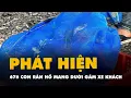 Lagu Phát hiện 676 con rắn hổ mang nặng gần 1.000kg dưới gầm xe khách giường nằm