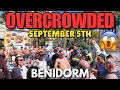 Download Lagu Benidorm - RAMMED Pubs, Bars \u0026 Crowded Levante Beach! 😱🍺┃MAD Holiday Atmosphere!