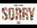 Rick Ross - Sorry (Audio) (Explicit) ft. Chris Brown