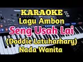 Download Lagu Karaoke SENG USAH LAI - Doddie Latuharhary - Nada Wanita