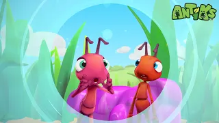 새야 날아가지 마! 젤리 때문에 유리병에 갇힌 개미들 🐜🍬 | 장난스런 개미들 | Antiks | 인기동화 | 어린이 만화 | 문복키즈 | Moonbug Kids 인기만화