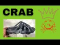 IMRAN POTATO CRAB SLIDES YEEZY 450 REVIEW