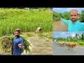 Download Lagu Flood Mein Animals Ko Chara  Dana  Howa Mishkil 