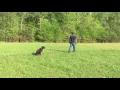 IMG 0029