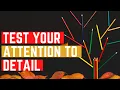 PUZZLE Test Your Attention To Detail