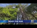 Storm Watch La Honda Residents Ready For Rain Hope For Relief From Fire Danger