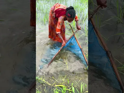 Rural fishing videos #ruralfishing