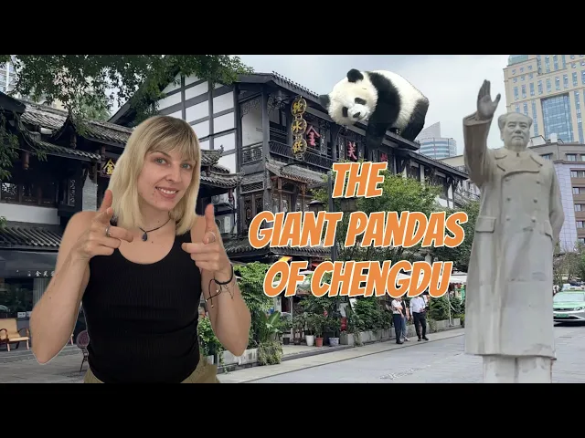Exploring Chengdu’s Wild Side: Illegal Animal Markets, Mao's Statue, and Pandas!