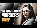 Download Lagu Inside the trial of mushroom killer Erin Patterson | The Brief