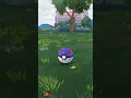 Catching A Wild Hundo Spoink With Nufftingz