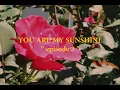 You Are My Sunshine - Nada \u0026 Luthfi Cover (MV Cover 1 minute)