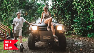 We Moved To The Jungle