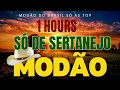 1 HOURS SÓ MODÃO DAS ANTIGAS 🎼 AS MELHORES 💗 SERTANEJO RAIZ 🎧 MODA DE VIOLA