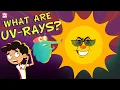 ULTRAVIOLET RAYS How Harmful Are UV Rays Ultraviolet Radiation Dr Binocs Show Peekaboo Kidz