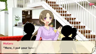Moe Ninja Girls-Newlyweds Have a Good Day Hotaru