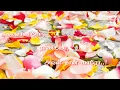 Download Lagu Kalai vaaniyo Raniyo avalthaan yaaro song for WhatsApp status
