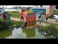 Lagu Opening a Wonderful Landfill Project!! Delete Flooded Area By Skills Dozer D20P with Dump Truck 5Ton