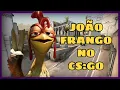 Download Lagu JOÃO FRANGO JOGANDO CS:GO