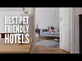 25 Best Pet Friendly Hotels in the US