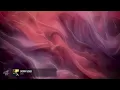 Jihyo, Shenseea & FANDOM - Distant Lover / lyrics