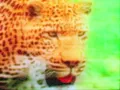 [KRTM] - Dream On Baby (Official Video) [ARTS038]