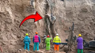 A Bone Longer Than any Known Animal Was Caught By Archeologists!