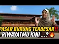 Download Lagu NASIB PASAR BURUNG PRAMUKA‼️ RIWAYATMU KINI…