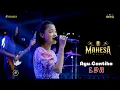 Download Lagu LDR Ayu Cantika - Mahesa Music WNB Ngujung Tanjungsari Rembang