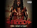 Hustle Hard Remix (feat. Rick Ross & Lil Wayne) - Ace Hood
