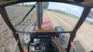                                                          دندنها