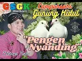 Download Lagu PENGEN NYANDING - DIMAS TEDJO CSGK MANTHOUS
