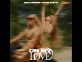 On My Love - Zara Larsson & David Guetta